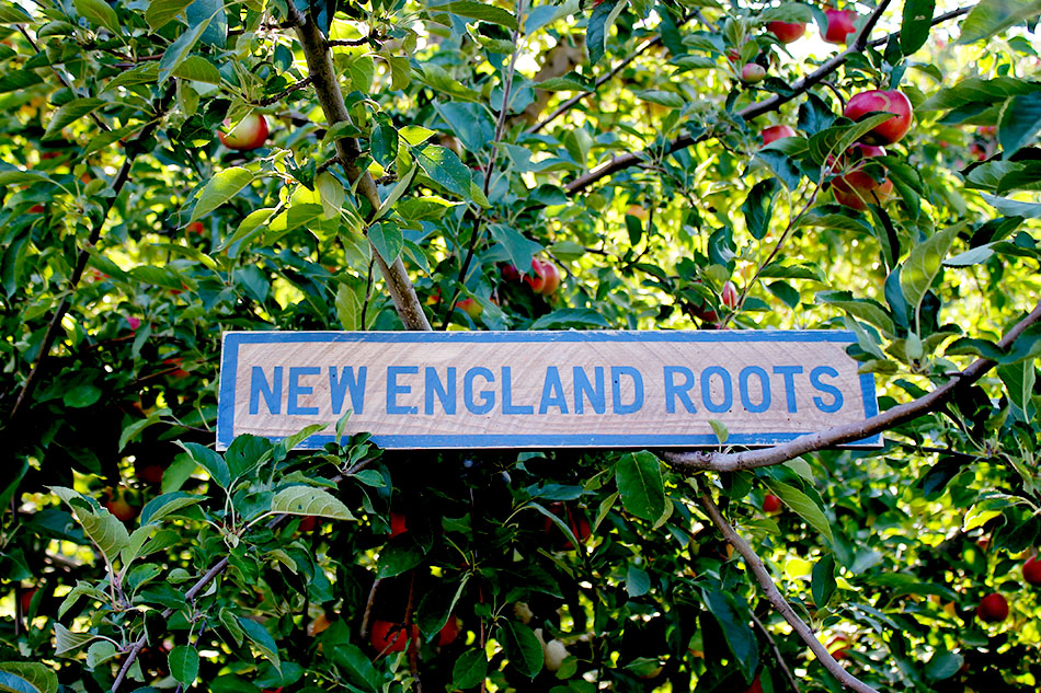new-england-roots