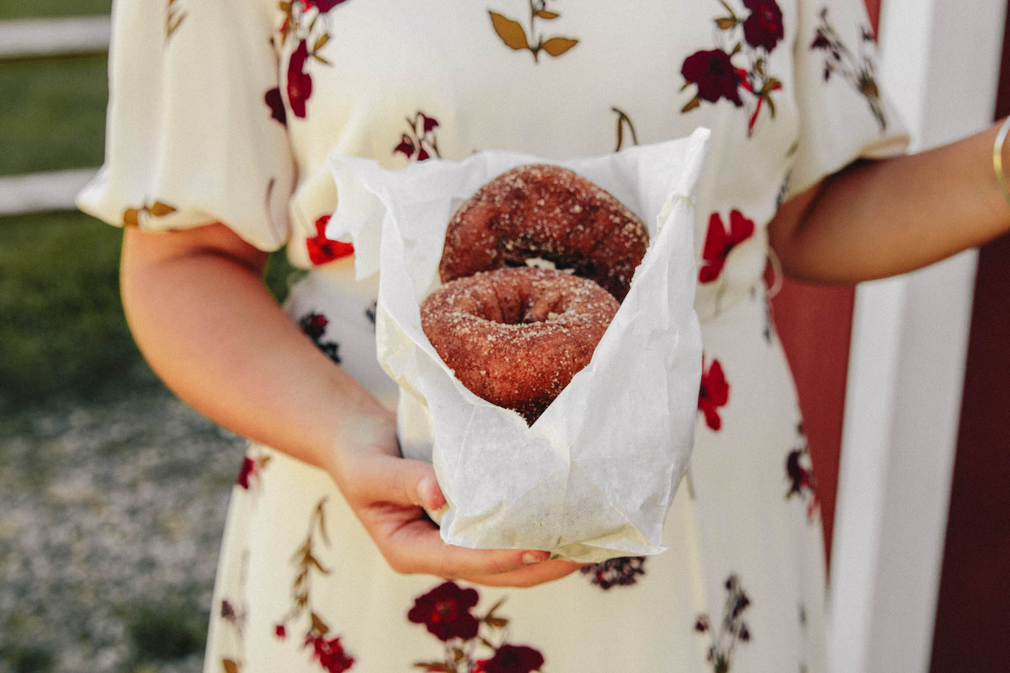 best cider donuts in New England The Coastal Confidence by Aubrey Yandow