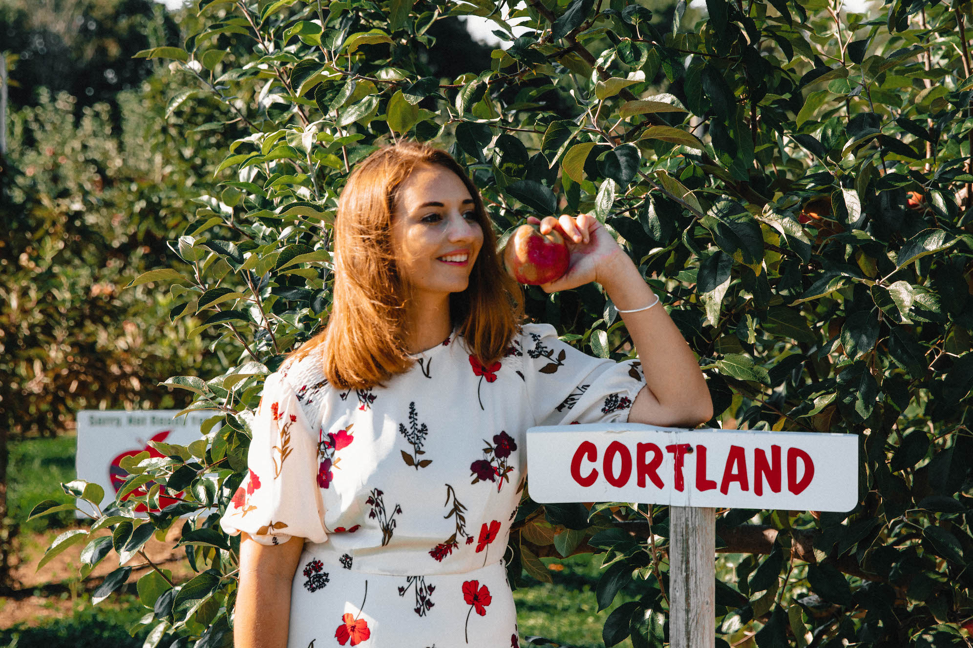Apple Picking in Fairfield County Connecticut The Coastal Confidence by Aubrey Yandow