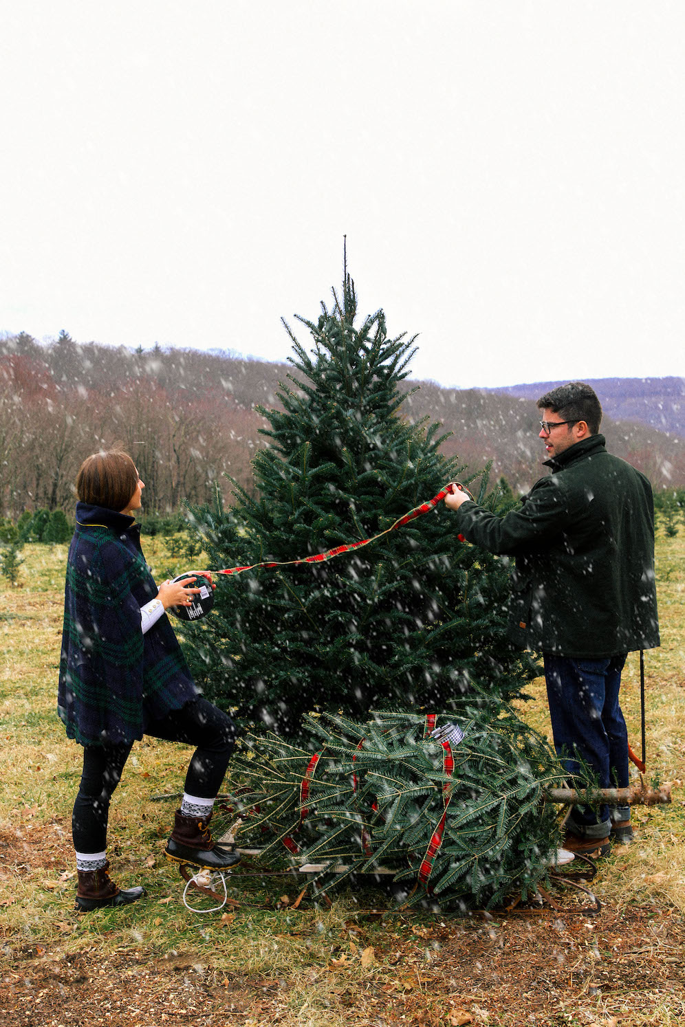 5 Tips For First Time Christmas Tree Buyers The Coastal Confidence Aubrey Yandow