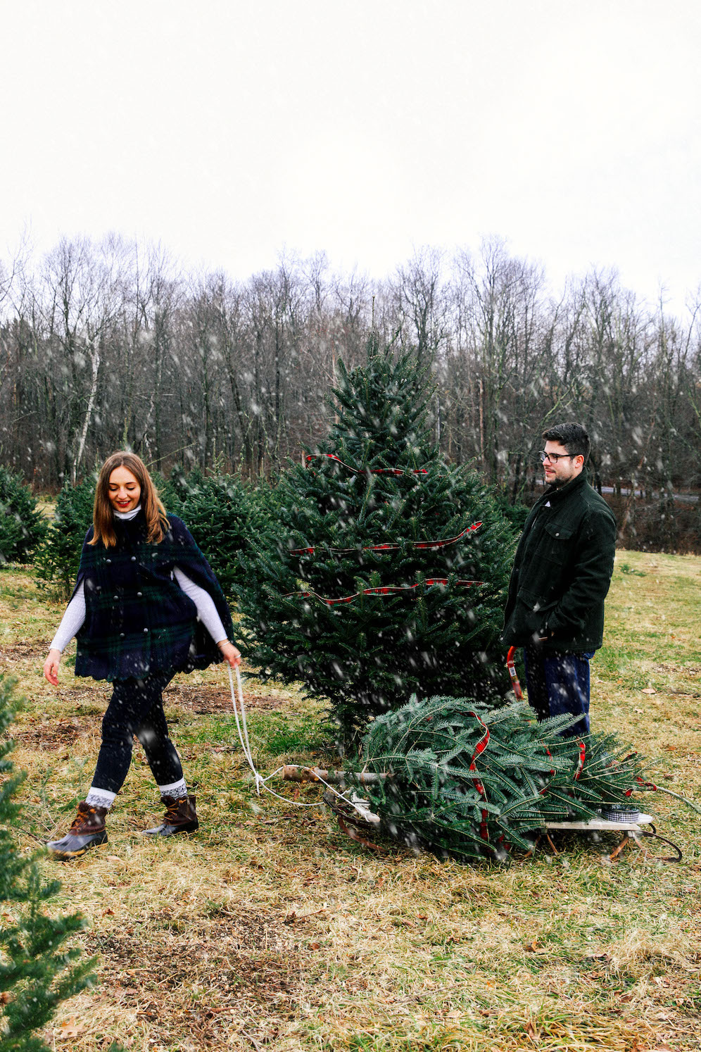 Christmas tree farms in New England the coastal confidence aubrey yandow