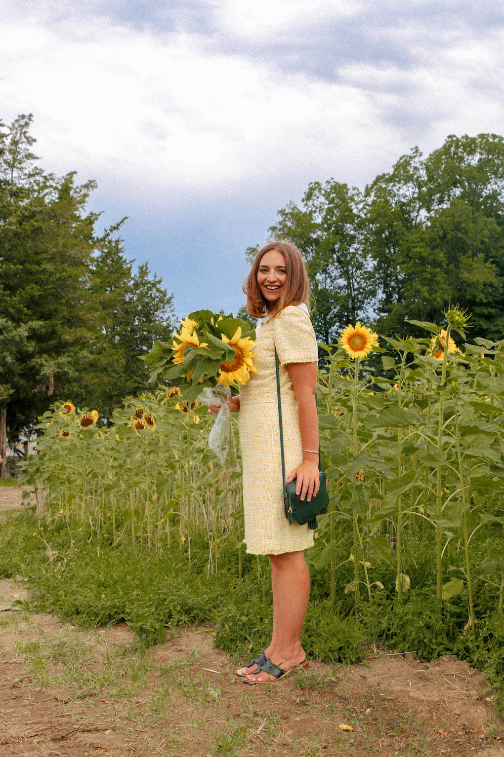 Sunflower Fields in Connecticut The Coastal Confidence Aubrey Yandow