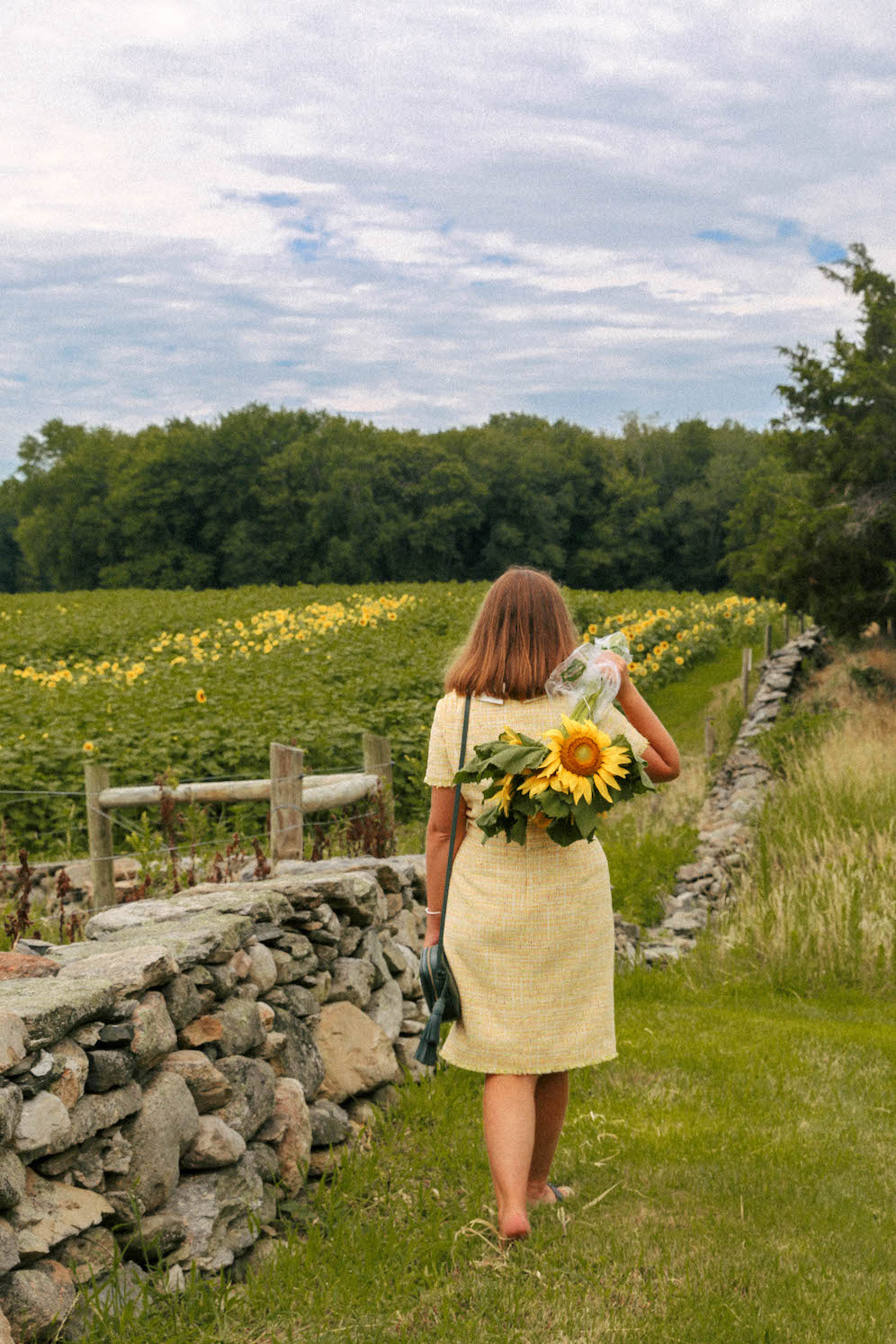 Flower Fields To Visit In New England