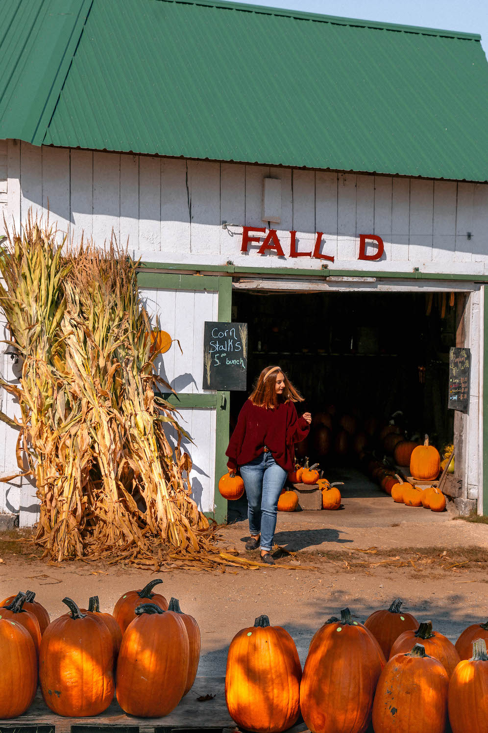 Corn Mazes Worth Visiting This Fall At New England Dairy Farms The Coastal Confidence Aubrey Yandow