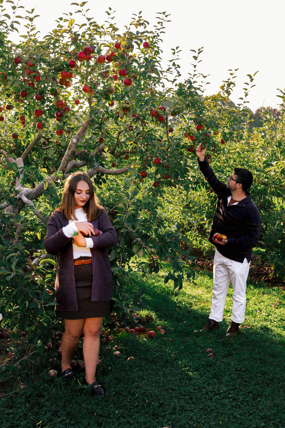 New England Apple Orchard Couple Photos The Coastal Confidence Aubrey Yandow