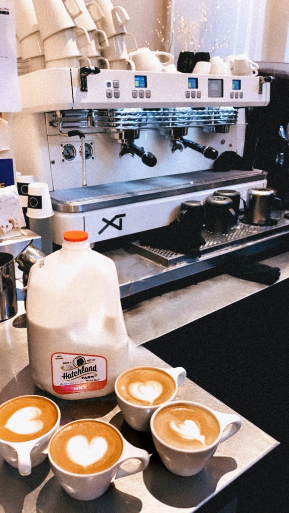 new england dairy for whole milk lattes