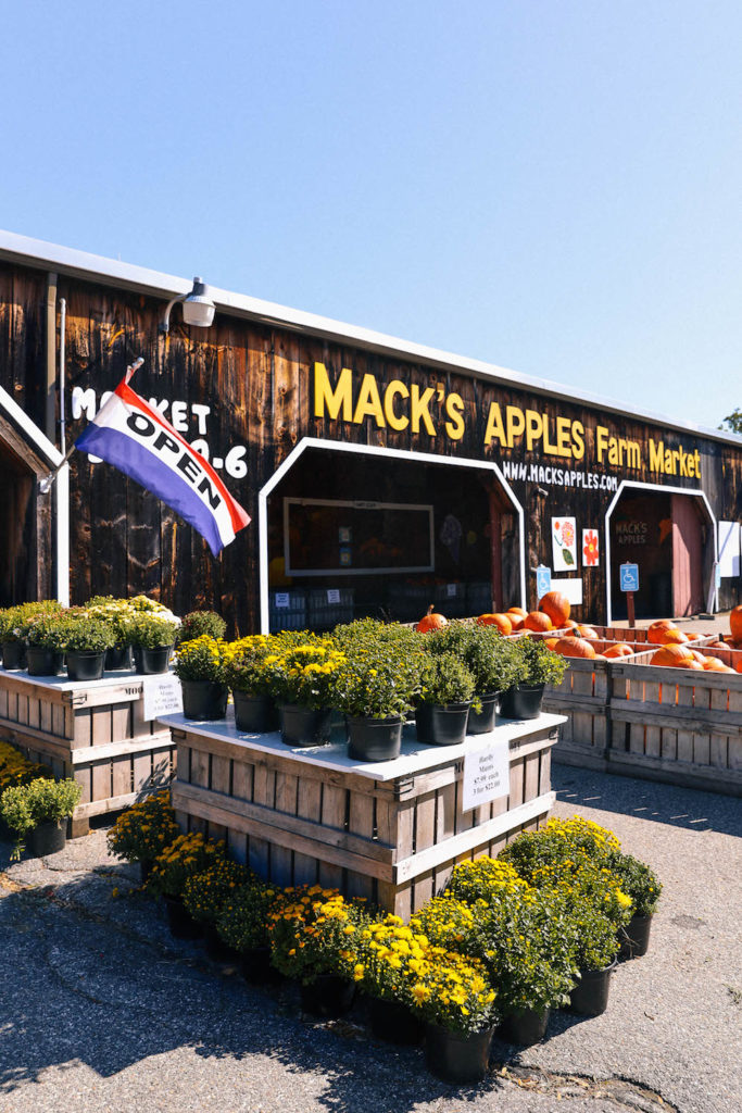 Mack's Apples Londonderry N.H | Aubrey Yandow