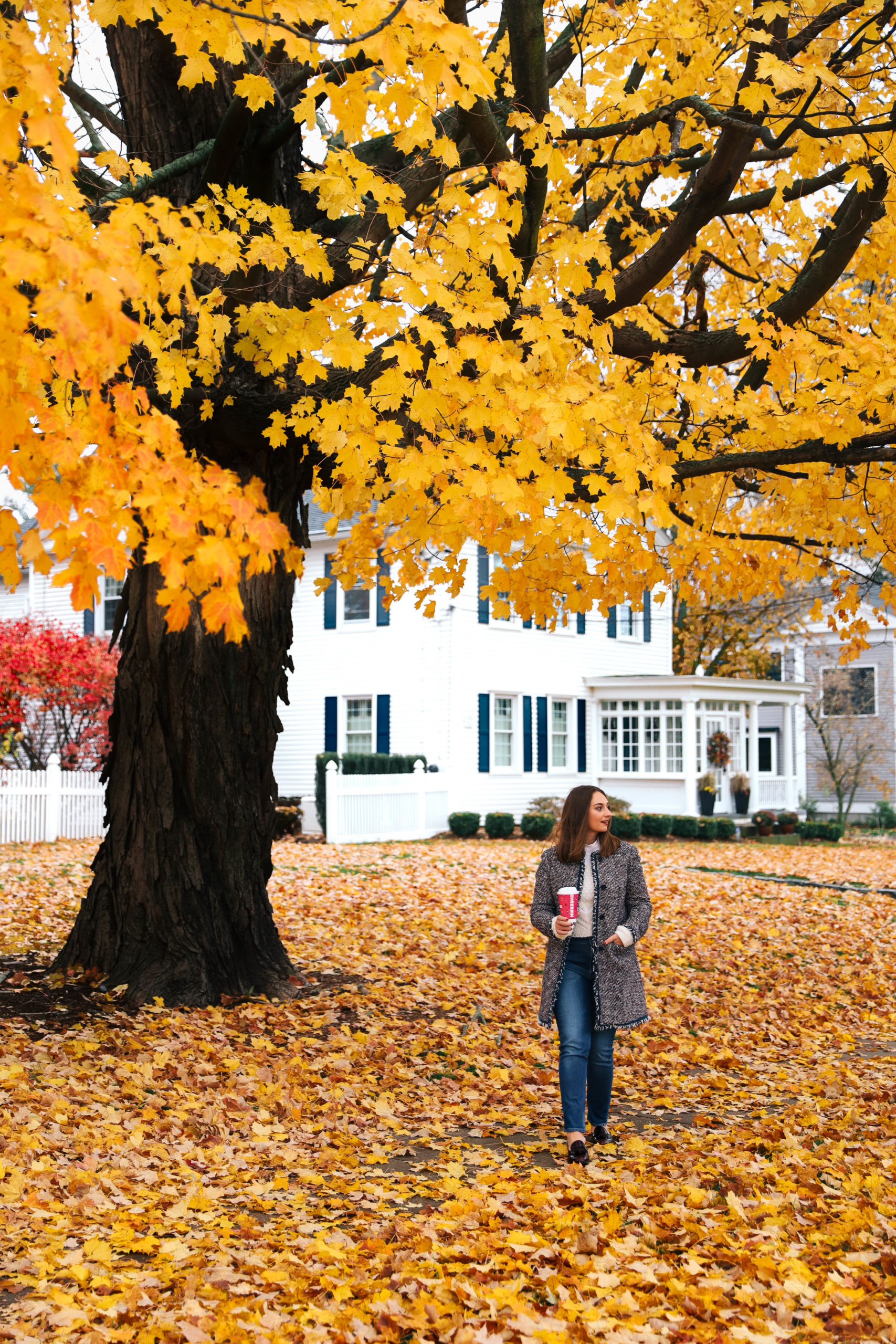 Antique Trail Part 3 Northern Connecticut's Litchfield County Aubrey