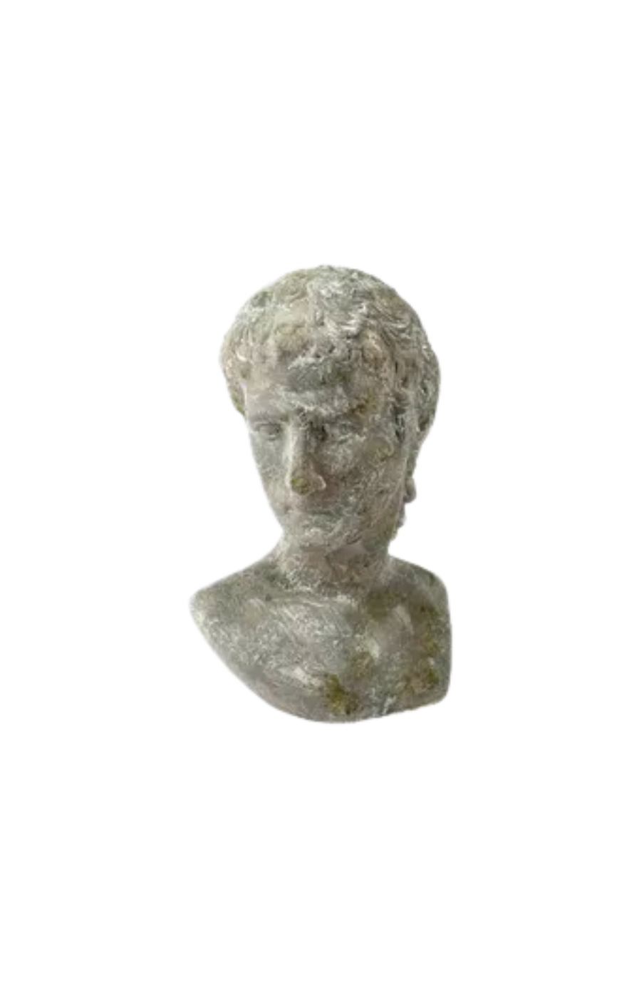 Home Office Vietri Carrara French Country Grey Ceramic Roman Bust